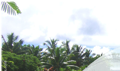 Building idea for Punanganui Market / Rarotonga
