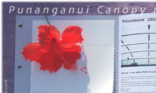 Building idea for Punanganui Market / Rarotonga
