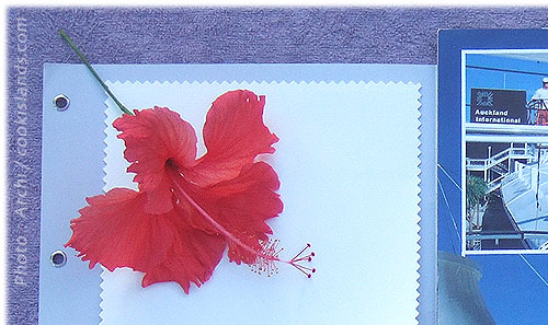 Building idea for Punanganui Market / Rarotonga
