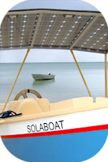 >>> Silicium panel roof